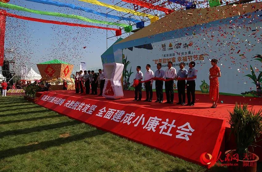 央媒集体点赞,央视新闻联播点赞9万亩小麦