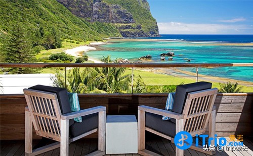 豪勋爵岛竹节虫,澳洲黄金海岸景点推荐