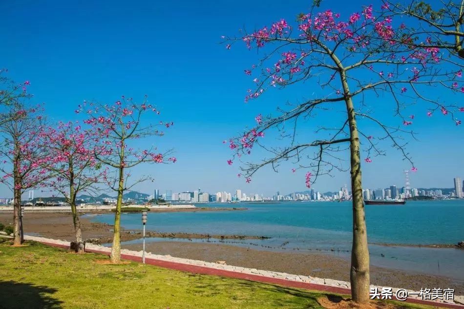 厦门五日游必去十大景点有哪些,厦门一日游必去的五个景点