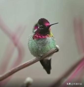 光栅的结构特征,光栅的特性分析与应用