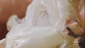 潮汕生腌在本地吃贵不贵,潮汕生腌吃了上头