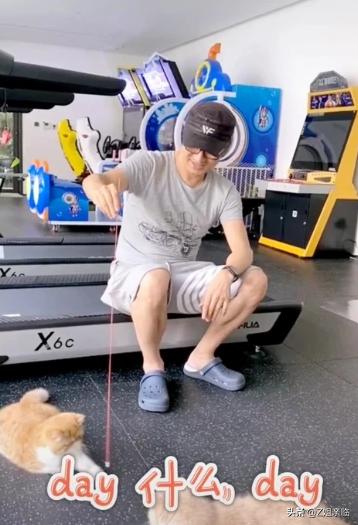 李云迪嫖娼被举报,明星再小心,还是躲不过神秘的朝阳群众