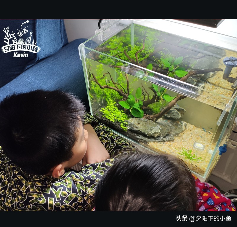 父子齐上阵全集,父子齐上阵完整视频