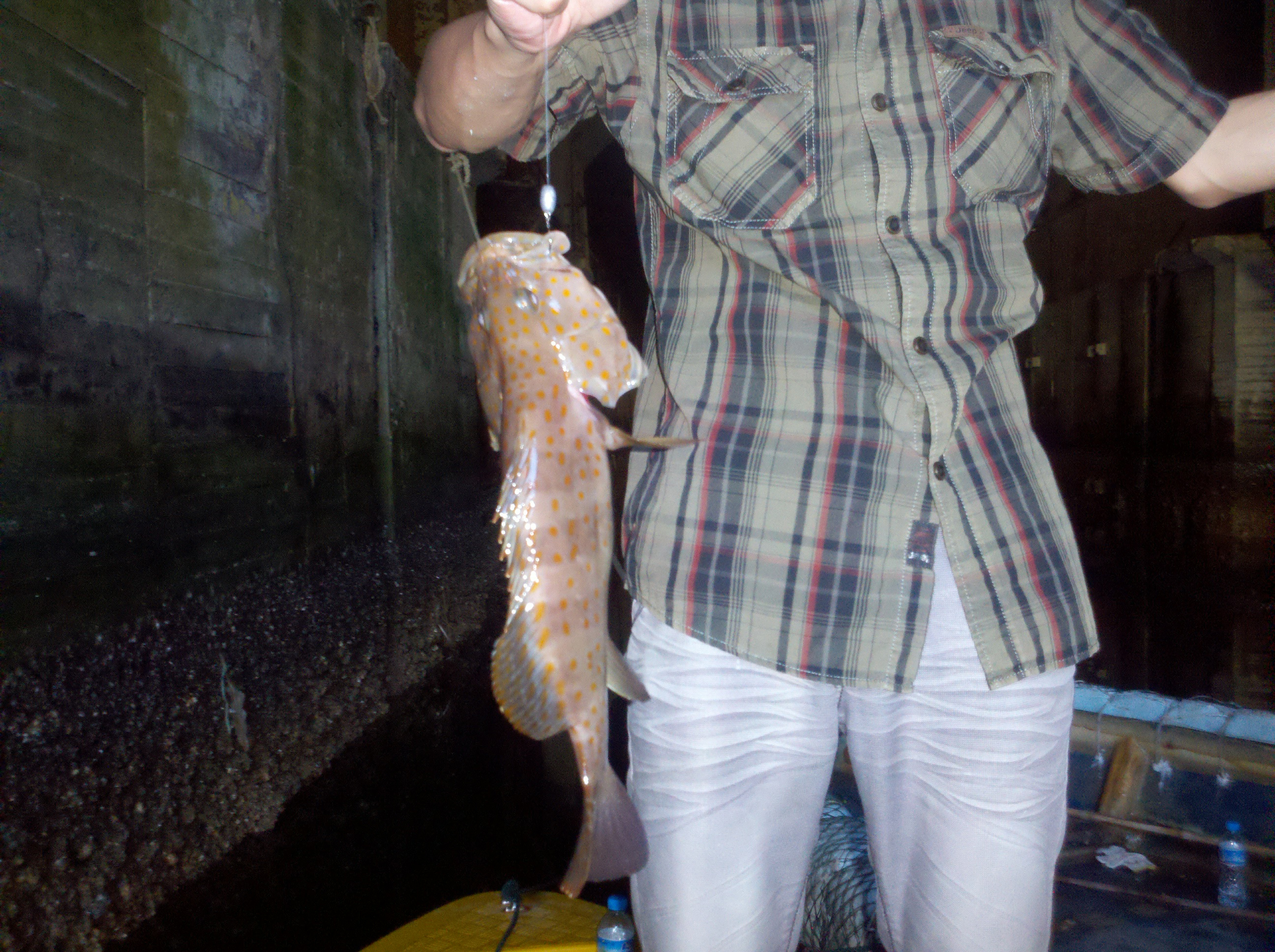 海钓手丝钓法教学,独特的钓法和使用方法