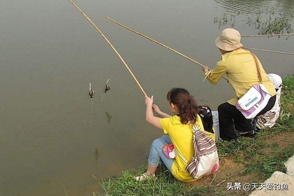 小龙虾钓法野钓附近,小龙虾垂钓怎么钓