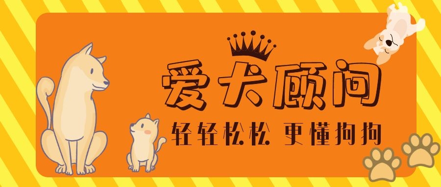 狗狗太胆小怎么办晚上叫不停,怎么纠正狗狗的胆小习惯