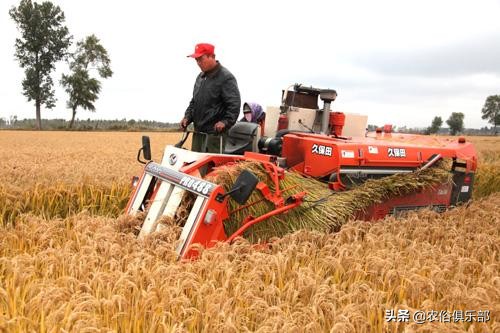 农村俗语：脚板下无空，是个老长工！平板脚真的不好么？