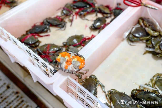 在三亚感受亚龙湾的惬意,三亚亚龙湾热带雨林美景