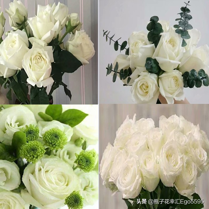 父亲节的鲜花,父亲节买什么鲜花比较好看