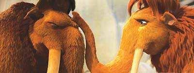 原皮猛犸象牙整牙视频,猛犸象牙是什么东西