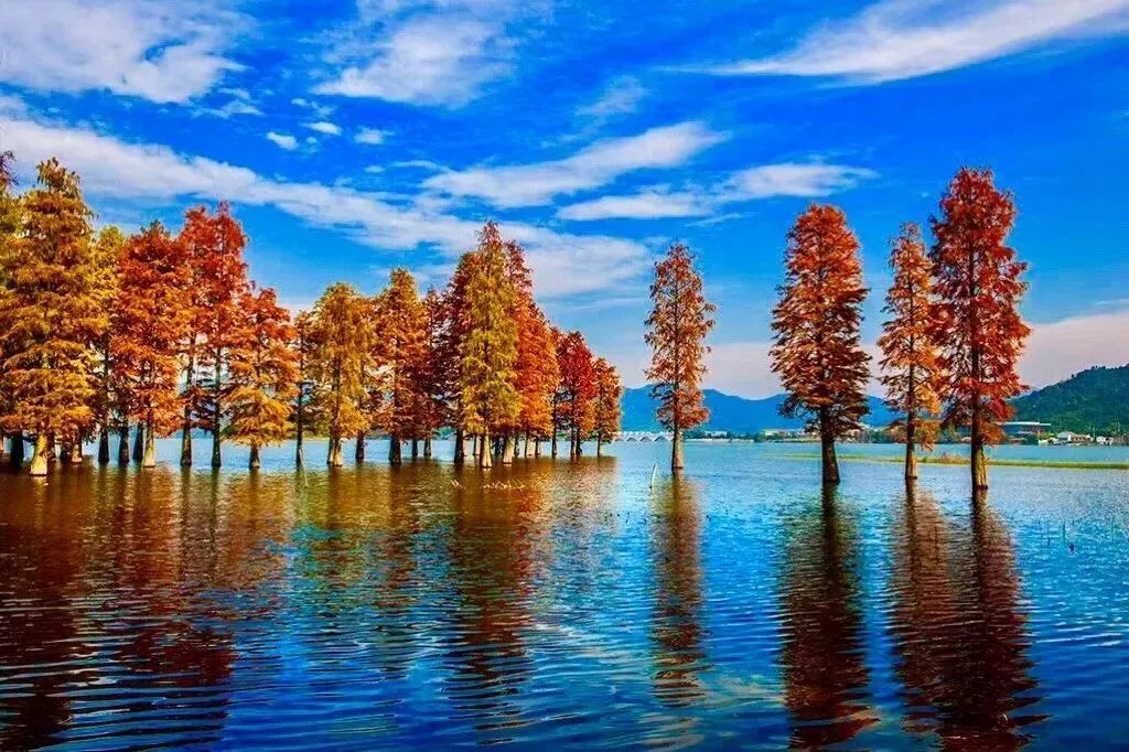 山如碧浪翻江去译文,山如碧浪翻江去下一句