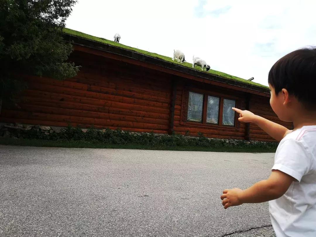 芝加哥南部旅游攻略图文,芝加哥附近旅游