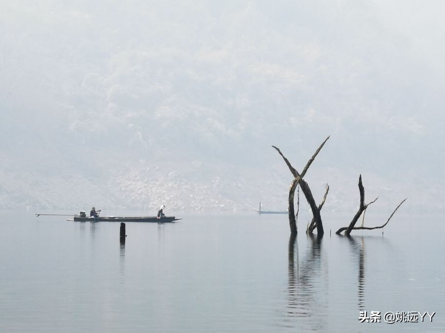 四海钓鱼韩国钓鱼纪录片,四海钓鱼南澳岛