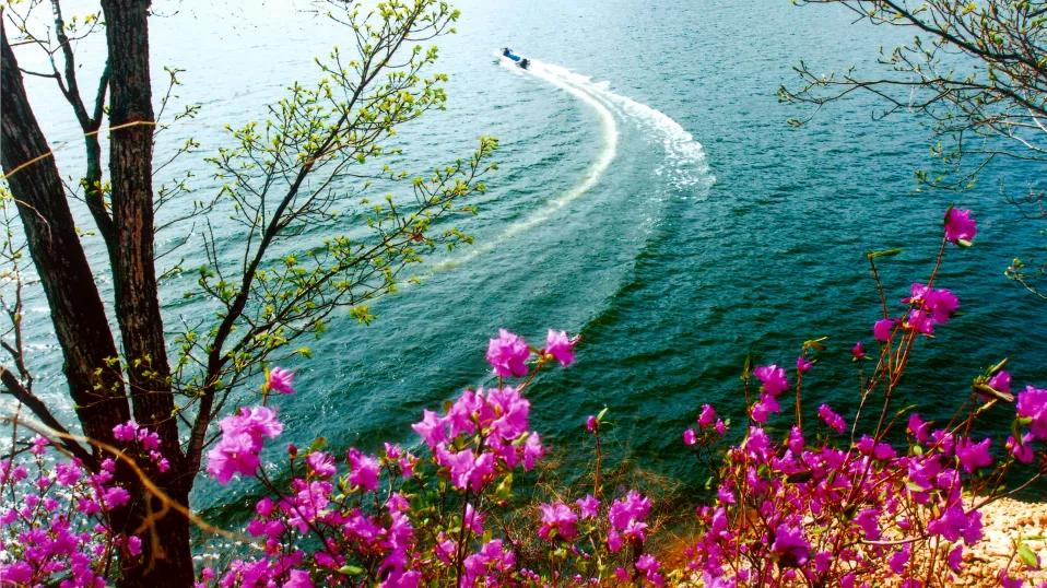 五一旅游如何去长白山,白山市4天旅游攻略