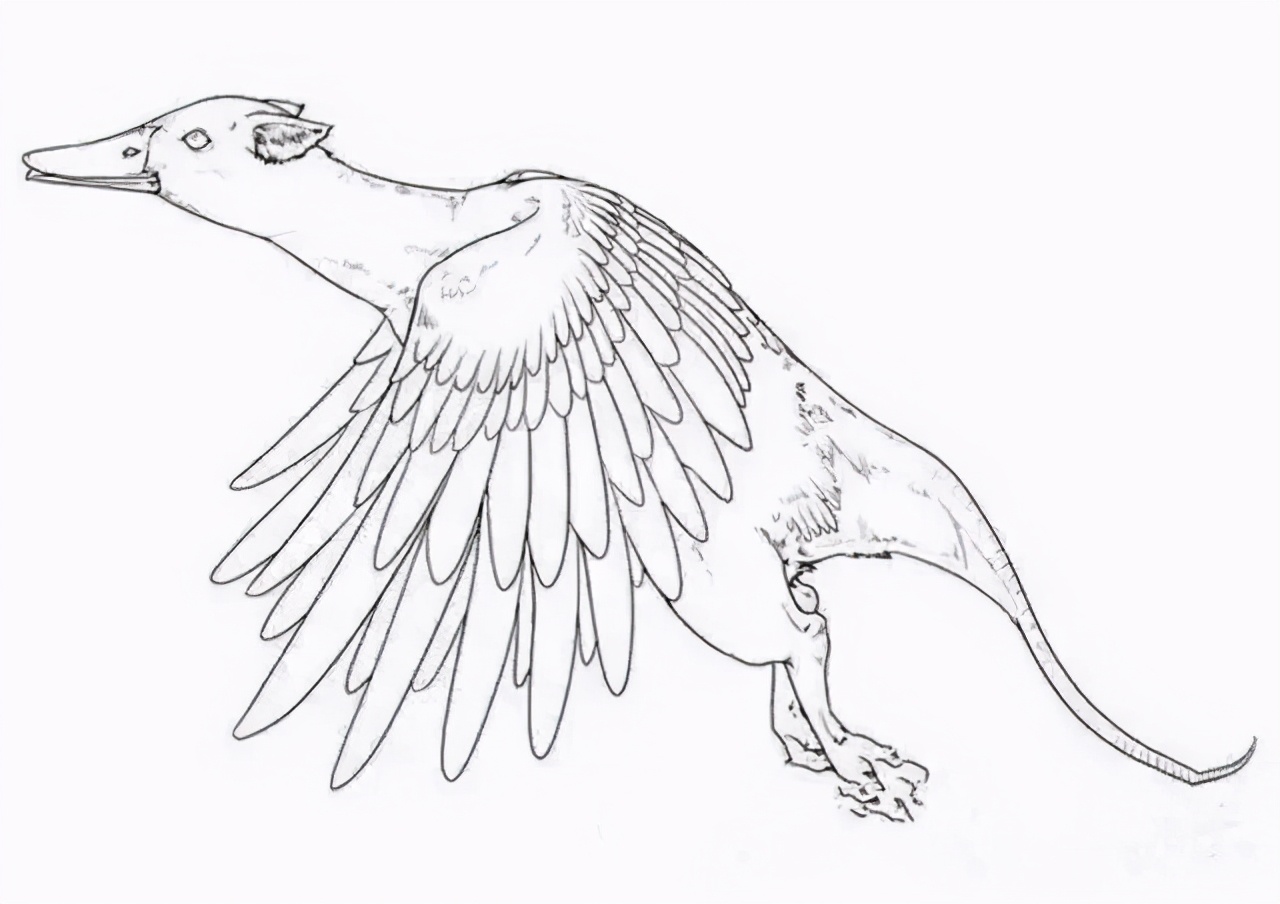 叠词听起来可爱的名字,叠词真的很可爱