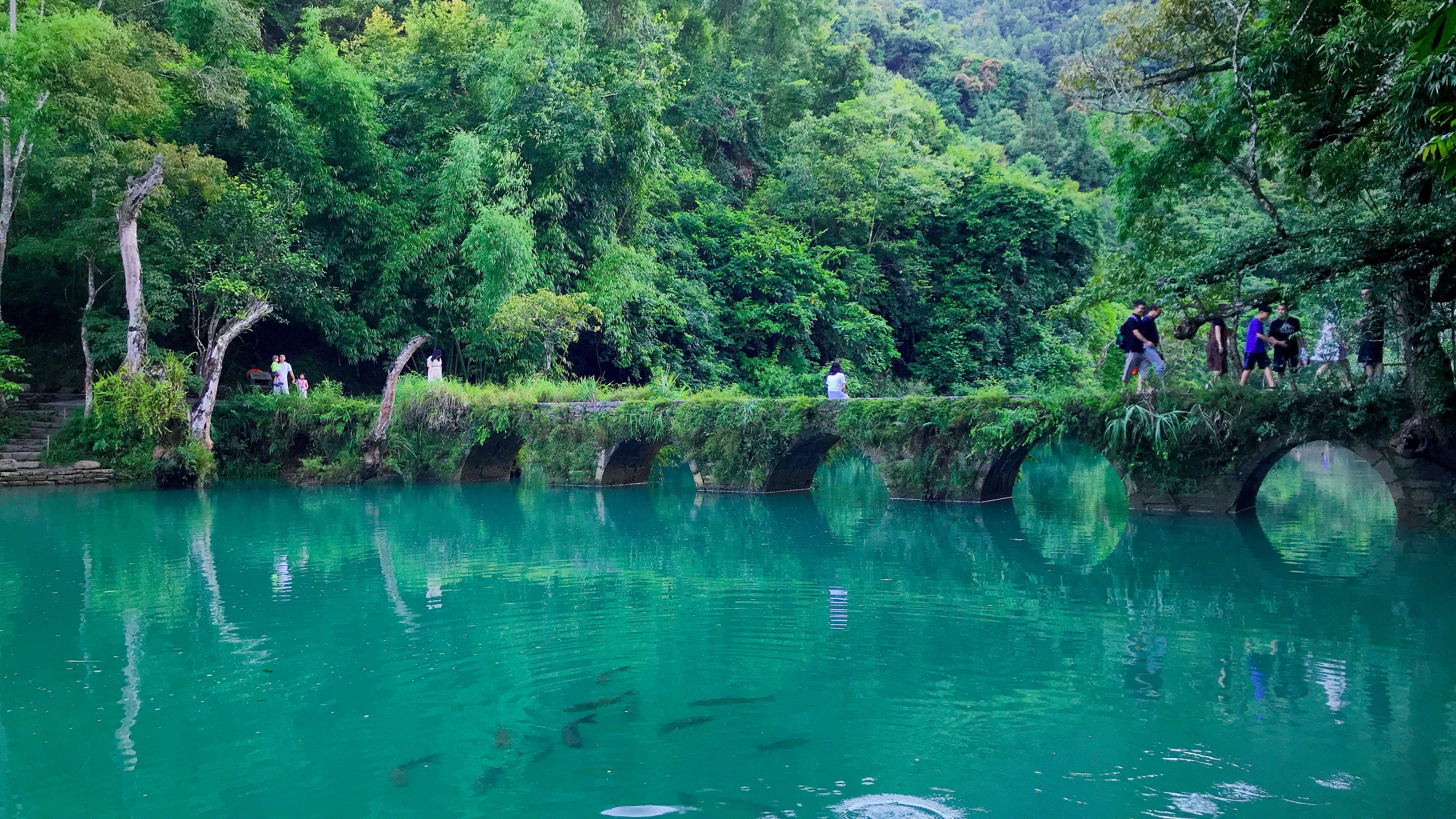 自驾游荔波小七孔旅游攻略,荔波小七孔游记600字