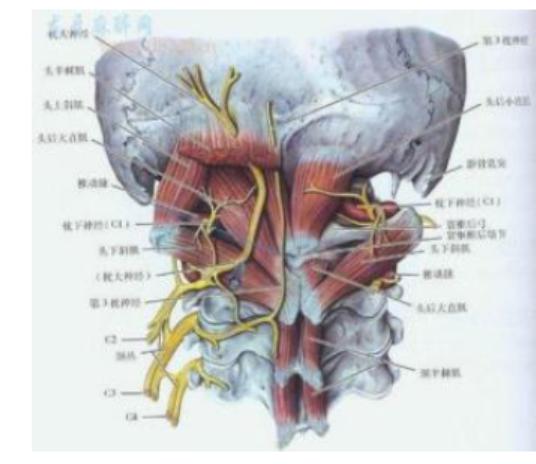 头晕脑胀失眠多梦吃什么药调理,头晕失眠的最佳治疗方法