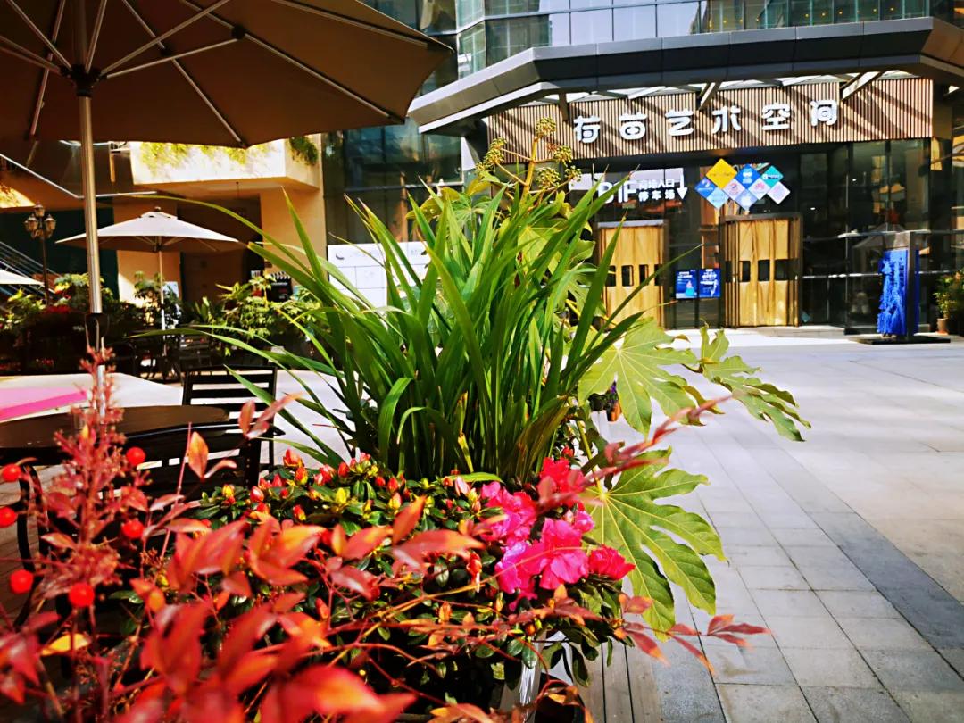 就地过年的新气象,原来就地过年也可以很欢乐