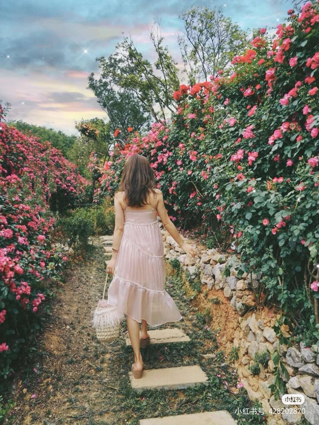 被大理丽江掩盖风头又怎样？它才是云南No.1！5月它太美了