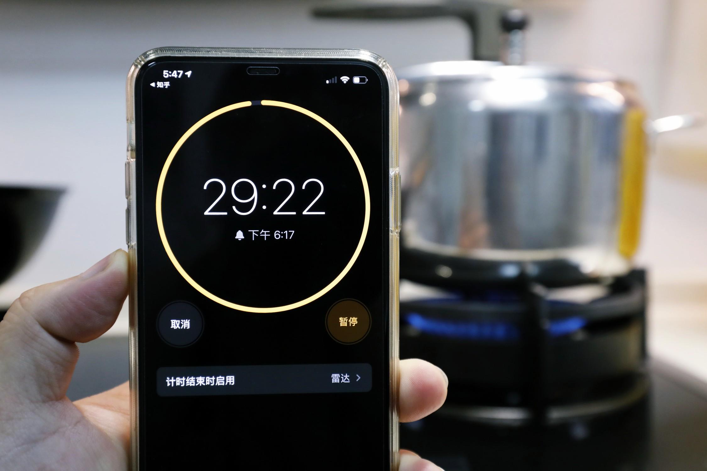 蒸煮两用电压力锅哪个牌子好,家用压力锅和微压锅哪个好