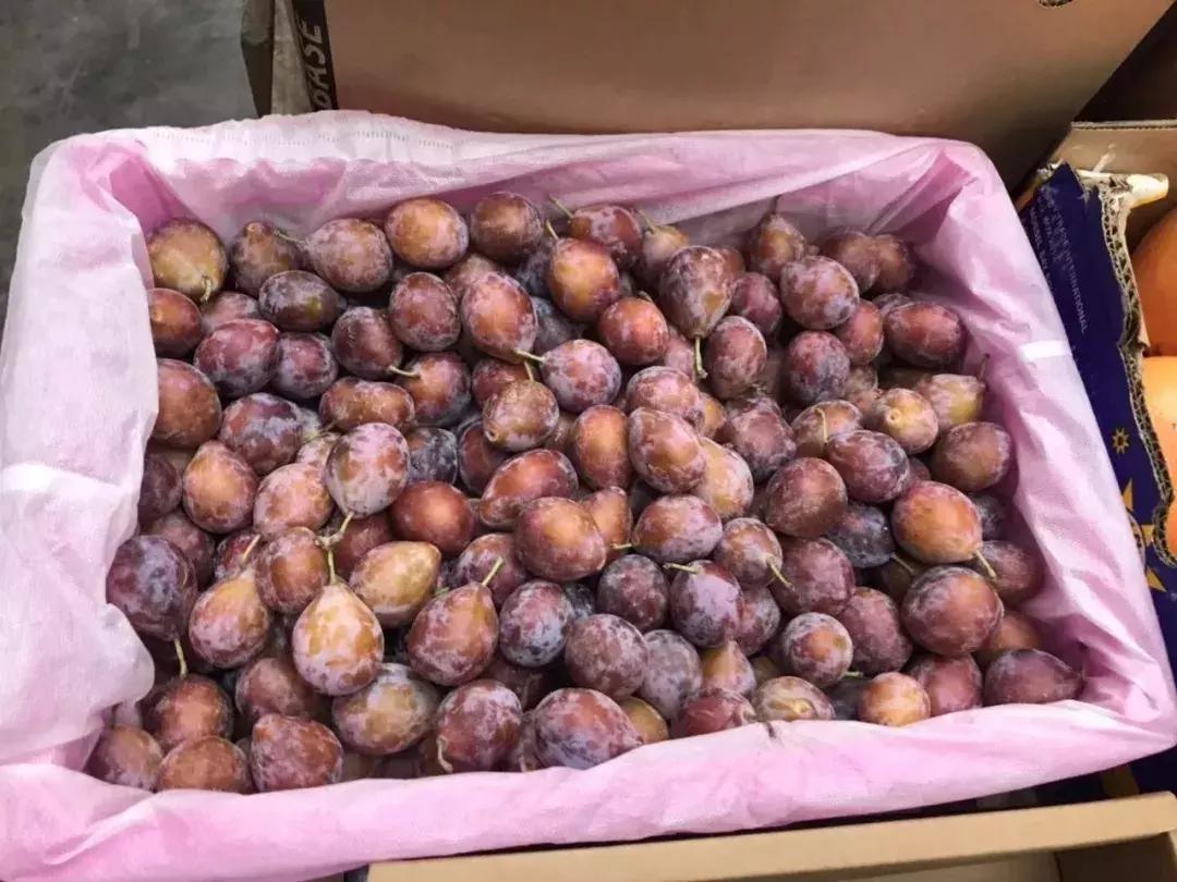 进口水果贵的原因在哪里,进口水果有哪些猫腻