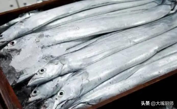 什么海鱼好养又好吃,既能吃又能养的海鱼