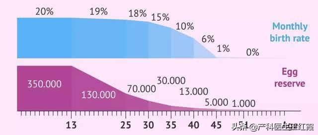 阿娇冷冻卵子,阿娇自曝怀孕冻卵