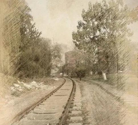 李萍的人生大实话,平平淡淡李萍