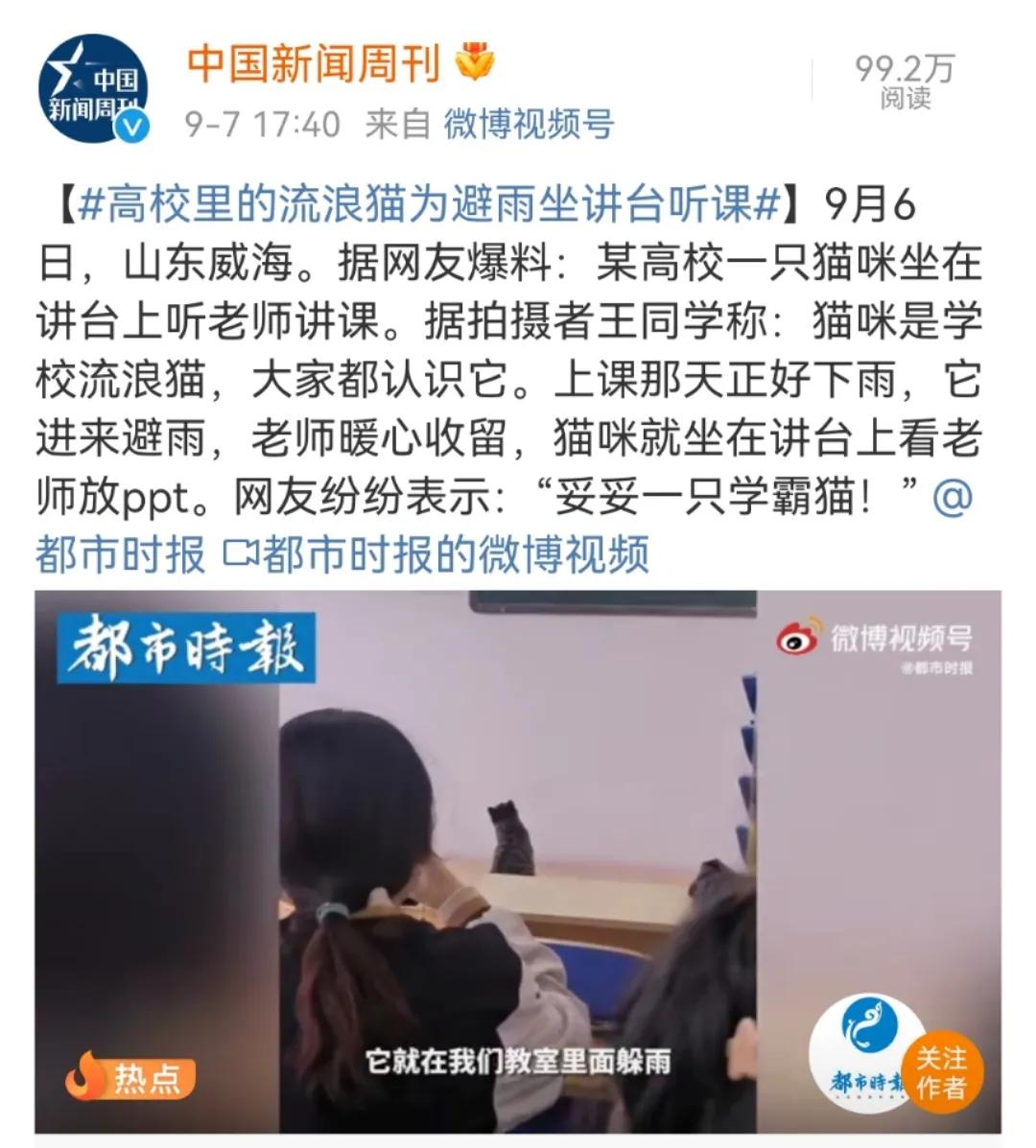 我为什么劝你别学医,在宿舍养猫很后悔