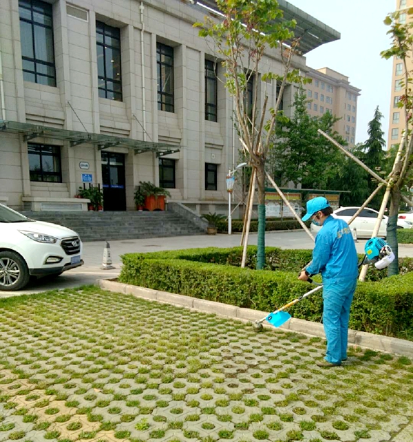 最美环卫工作者,最美保洁绿化人