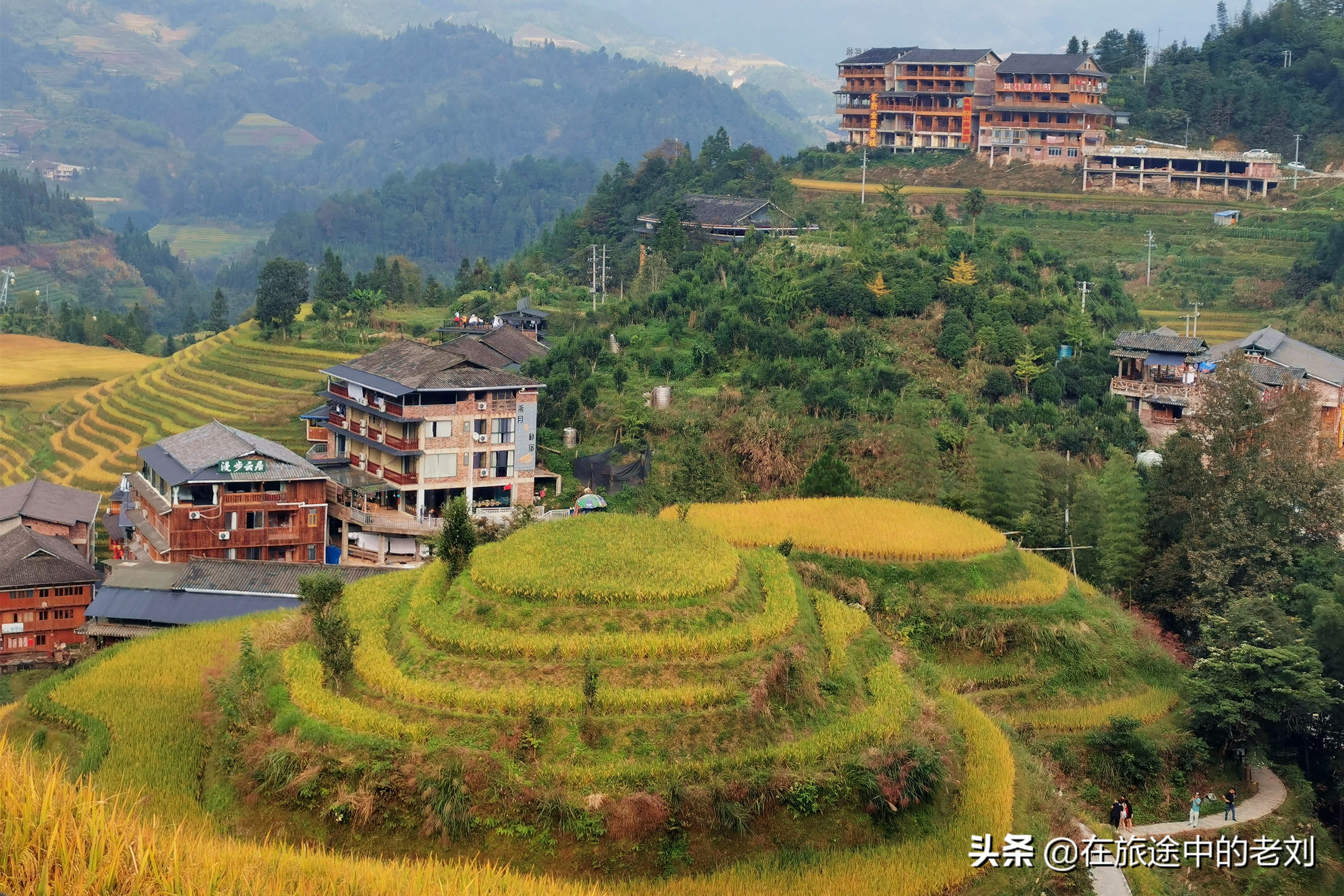 远赴龙脊大寨梯田，追逐今年最后的金黄——桂林七天游1