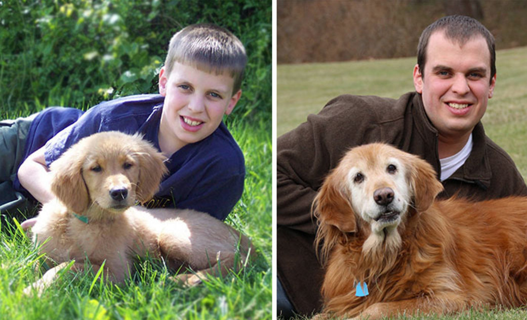 养狗老死什么预兆,家里养狗老死有什么说法