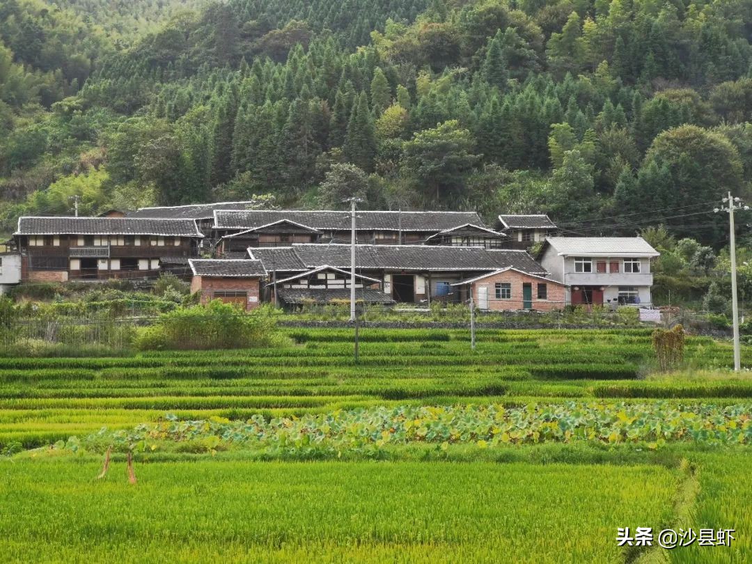 有序推进！沙县虾关心的32项为民办实事项目有了新进展