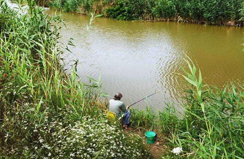 新手钓鱼防偷钓神器,野钓实用的控鱼器