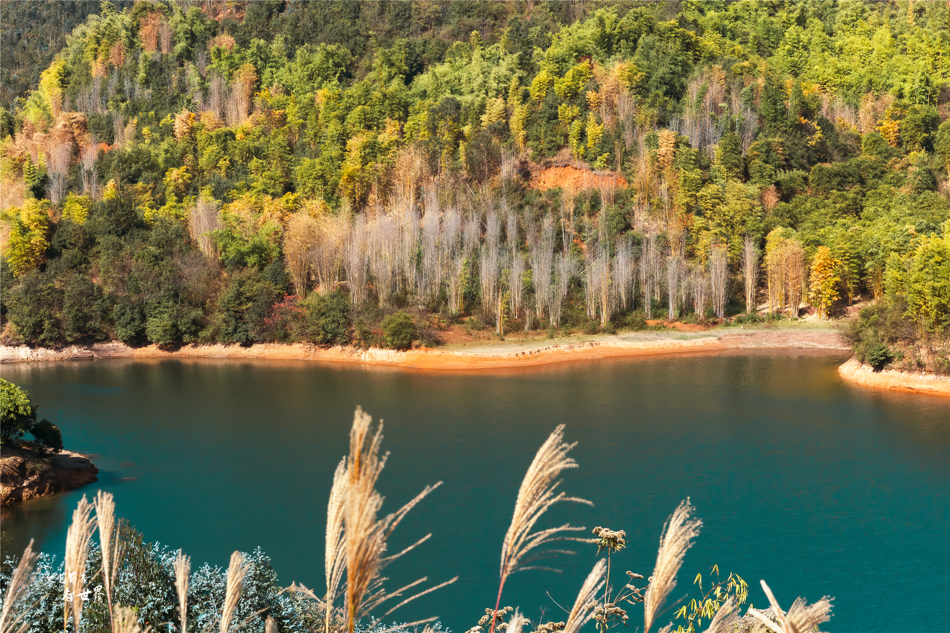 云南旅居半个月住哪合适西双版纳,西双版纳哪个地方过冬的北方人多