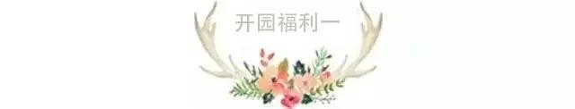 东南花都花博园全新升级鹿岛公园,东南花都花博园导览图
