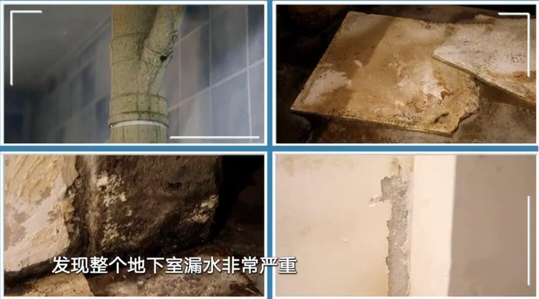 梦想改造家毫无隐私的千万洋房,仓库改造花园别墅