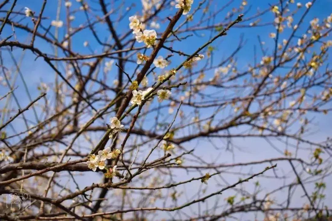 广州踏青好去处地铁附近,广州周边地铁一日游最佳路线