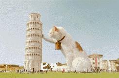 老虎：这是我准备养大吃的，你来凑什么热闹