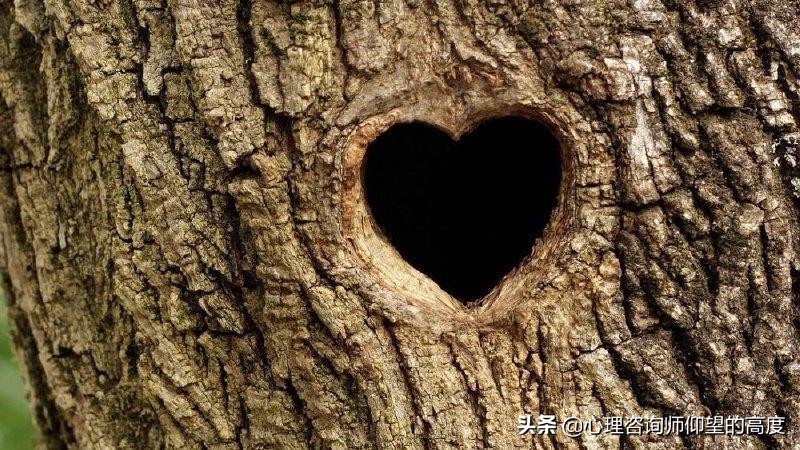 最好的树洞是什么,生活中的树洞是什么