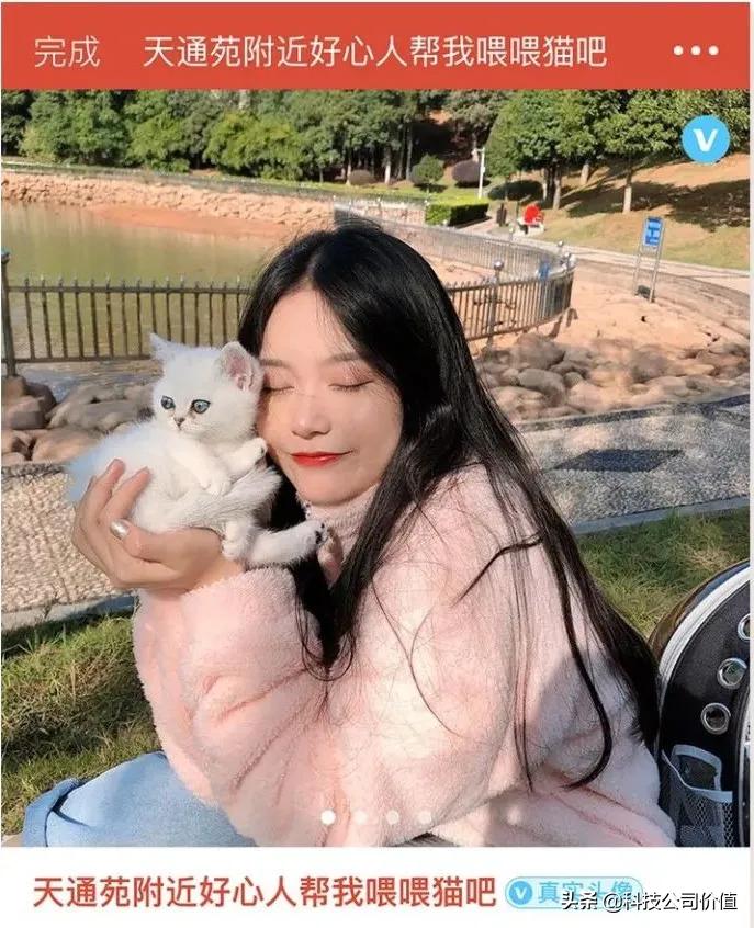 爱刷探探的猎头业绩都不会太差