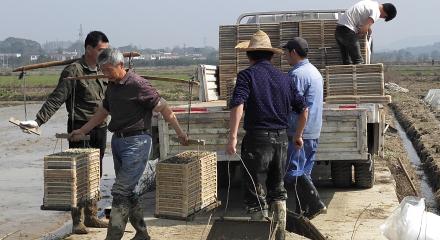 农村青年赚钱,农村青年创业模式