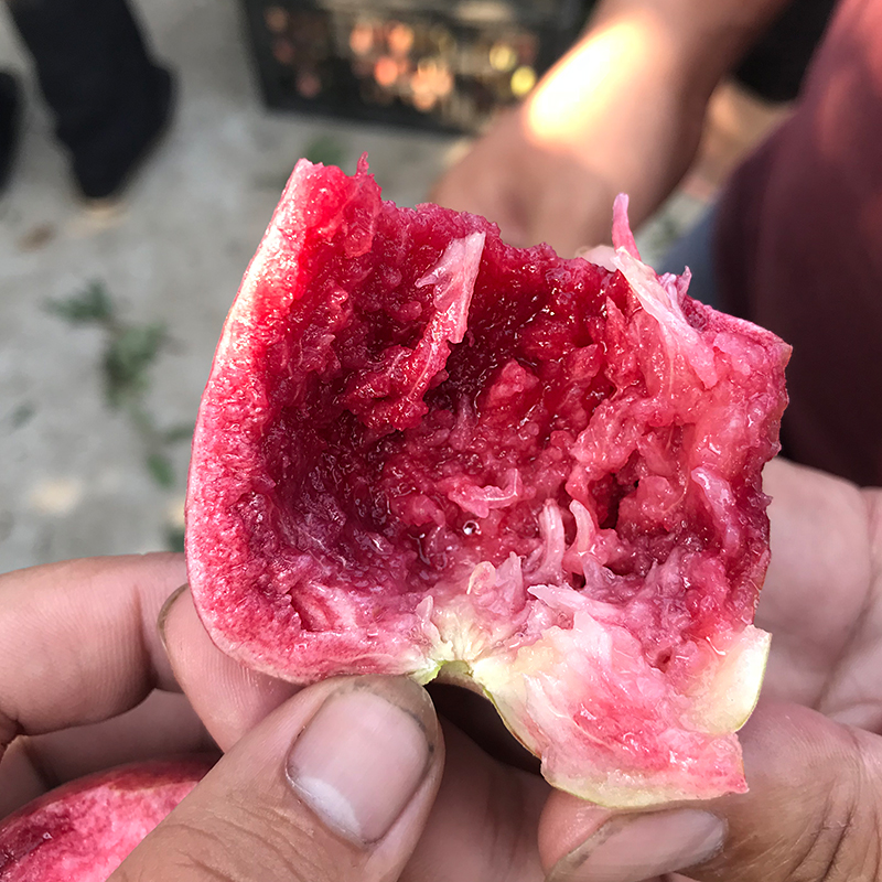 含铁高的水果蔬菜排行榜,含铁丰富的水果是什么