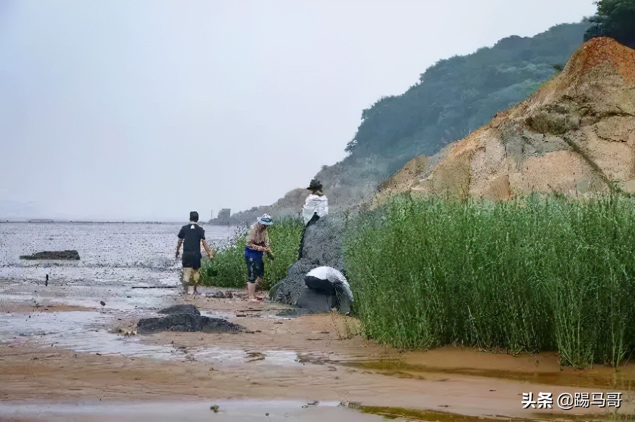 上海附近有哪些露营地可以看星星,上海周边免费露营地推荐人多
