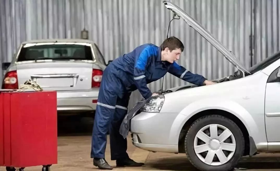 为什么老鼠喜欢藏在汽车发动机,老鼠为什么会钻到车里