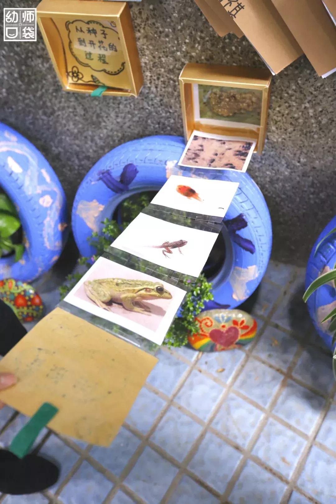 空间小、经费不足、面临*迁拆**，这家幼儿园却给出了满分的环境