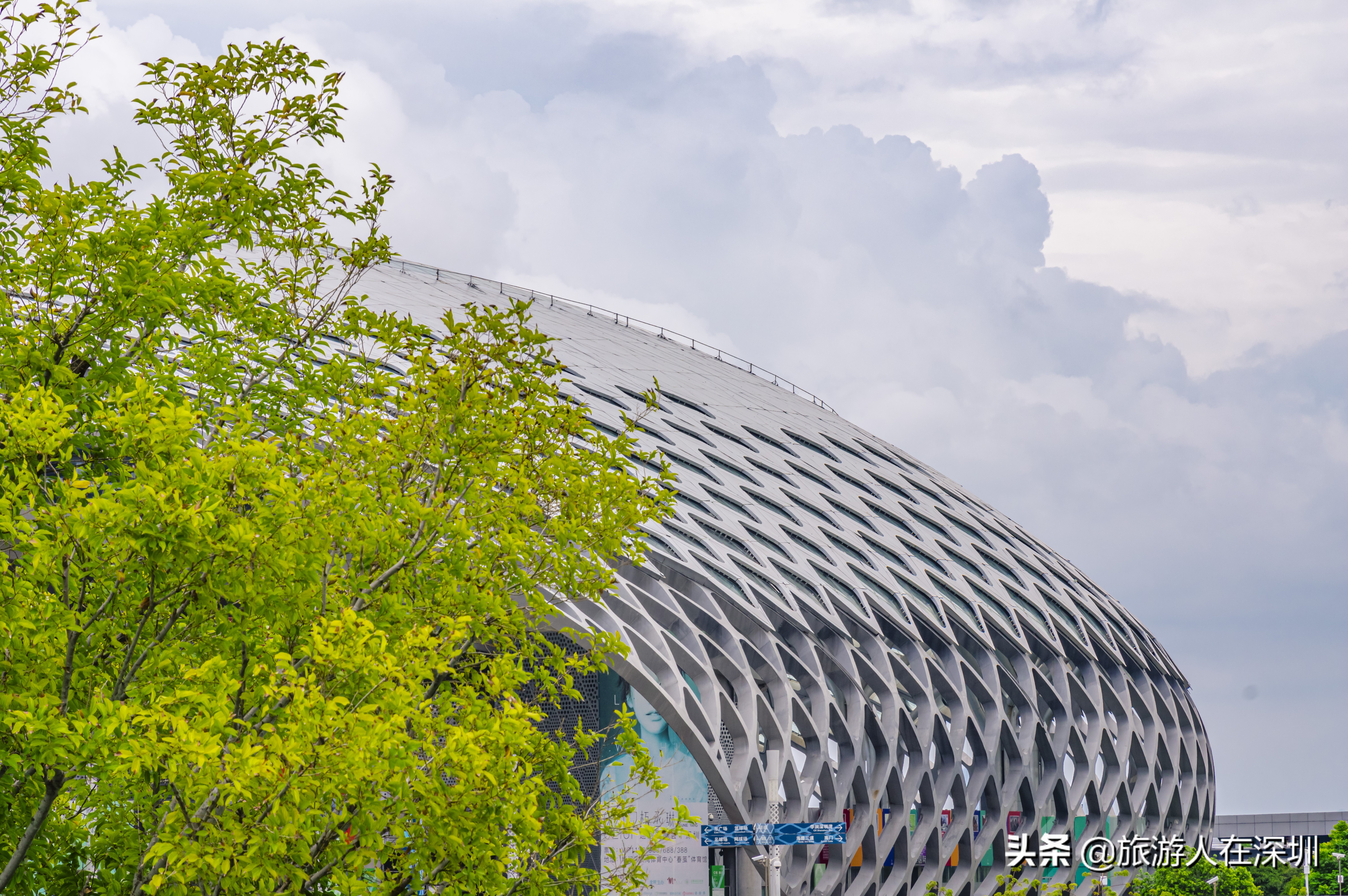 深圳湾体育中心平面图,深圳湾体育中心像什么