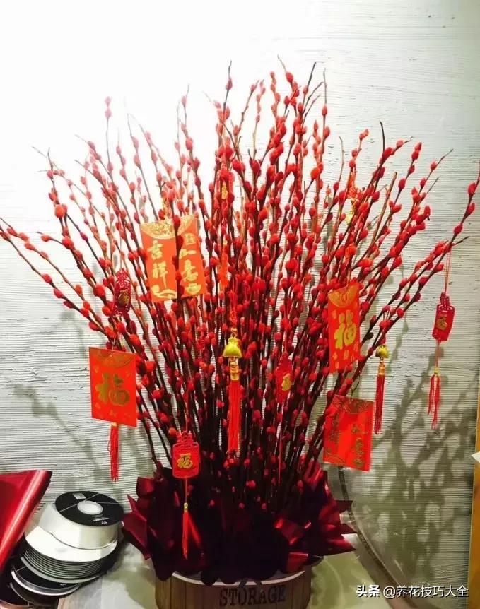 五行缺金养什么花,什么花风水命理最旺人养