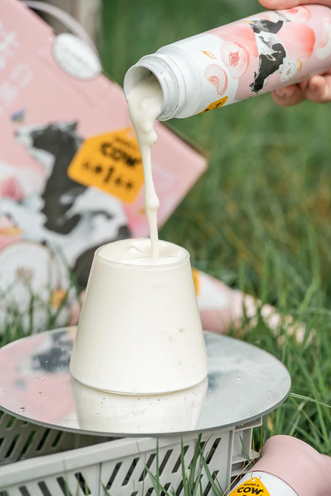 千万网红推荐的牛奶真的好喝吗,网红最好喝的纯牛奶