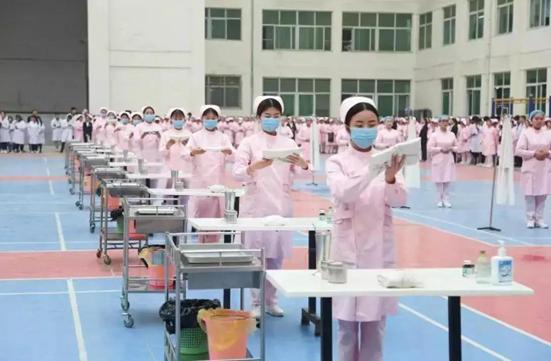 至美海棠最美好的年华遇见你